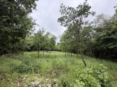 Baugrundstück 1 086 m², Buje - Meerblick - 7