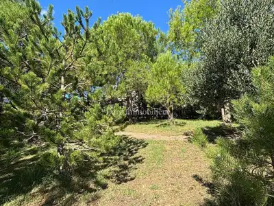 Otok Pag - kuća s lijepim dvorištem, 1. red do mora - 7