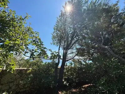 Otok Pag - kuća s lijepim dvorištem, 1. red do mora - 8
