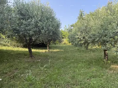 Šarmantna obiteljska kuća s velikom okućnicom i dodatnim građevinskim zemljištem u blizini Barbana - 19