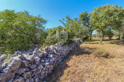 Kuća 60 m², Rovinj - imanje 6.400 m² - 11