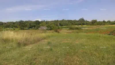 Građevinsko zemljište 2 539 m², Smoljanci, uz asfaltiranu cestu