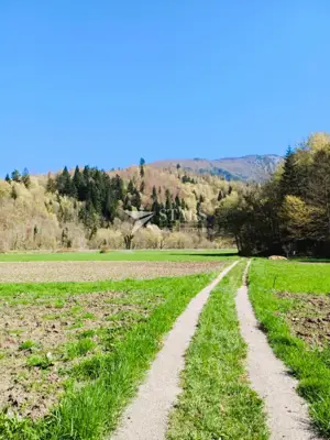 Građevinsko zemljište 1.095 m², Plešce - blizu granice i prirode - 5