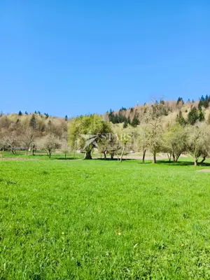 Building land 1,095 m², Plešce - near the border and nature
