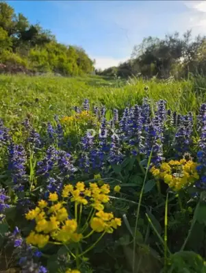 Land 3,382 m², Rakalj - edge of the construction zone and privacy - 2