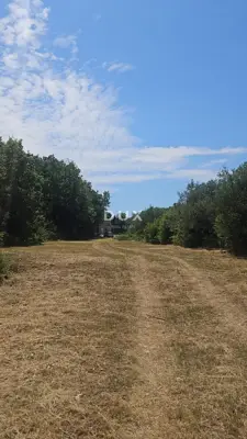 Istra, Rakalj, građevinsko zemljište, 3382, 1500m od mora
