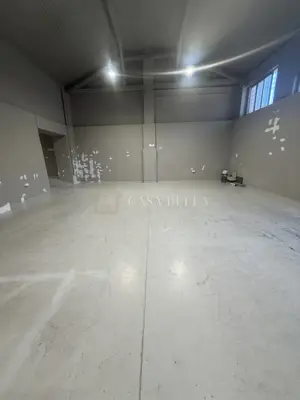 Poslovni prostor 175 m², Rijeka Centar - prizemlje i visina 7 m - 4