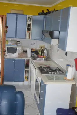 House 100 m², Marčana - plot 26,000 m² - 18