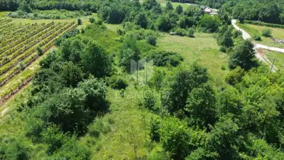 Građevinsko zemljište 11.202 m², Labin - ravno i pravokutno - 5