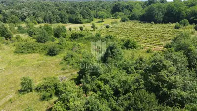 Građevinsko zemljište 11.202 m², Labin - ravno i pravokutno - 2