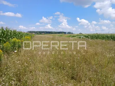 Building land 3,200 m², Bukevje - by the road and electricity - 2