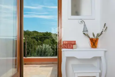 Rabac, Labin, surroundings, villa in nature with two residential units - 18
