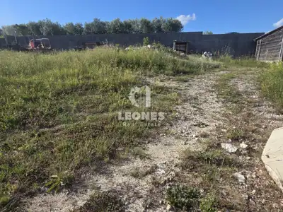 Building land in Buje - 3
