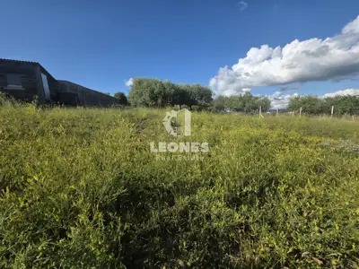 Building land in Buje - 2