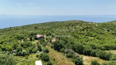 Land 1,200 m², Skitača - building permit and sea view - 5