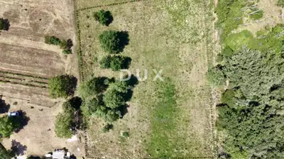 Građevinsko zemljište, Brtonigla - projekt kuće s bazenom - 16