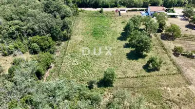 Građevinsko zemljište, Brtonigla - projekt kuće s bazenom - 9
