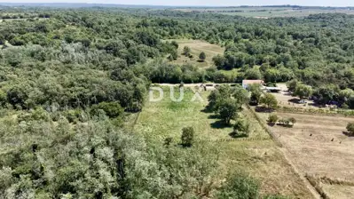 Građevinsko zemljište, Brtonigla - projekt kuće s bazenom - 8
