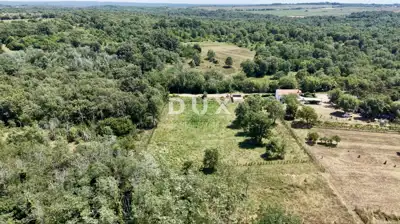 Građevinsko zemljište, Brtonigla - projekt kuće s bazenom - 10
