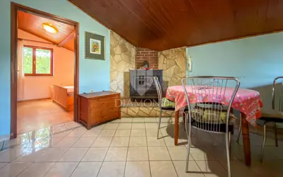 House 200 m², Labin surroundings, yard and auxiliary building - 9