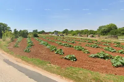 Building land 661 m², Loborika - next to an asphalt road