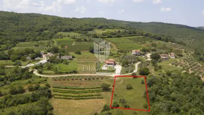 Land 10,041 m², Motovun - quiet location and view - 4
