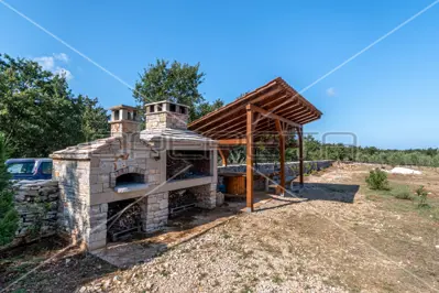 Maslinik 13 842 m², Vodnjan - 200 maslina i suhozid - 5