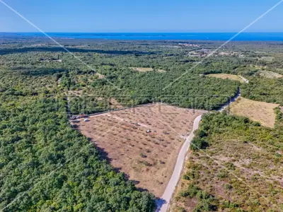 Maslinik 13 842 m², Vodnjan - 200 maslina i suhozid - 2