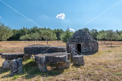 Maslinik 13 842 m², Vodnjan - 200 maslina i suhozid - 6