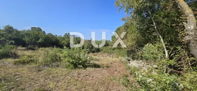 Građevinsko zemljište 1.339 m², Svetvinčenat - uz asfaltiranu cestu - 10