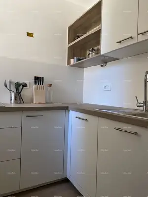 Kuća 190 m², Crveni Vrh - 3 apartmana i vrt - 13