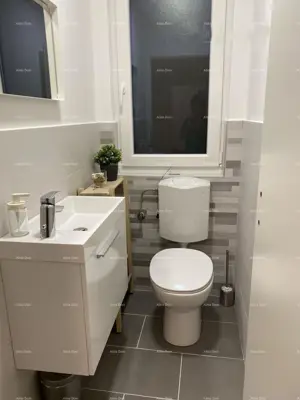 Kuća 190 m², Crveni Vrh - 3 apartmana i vrt - 19