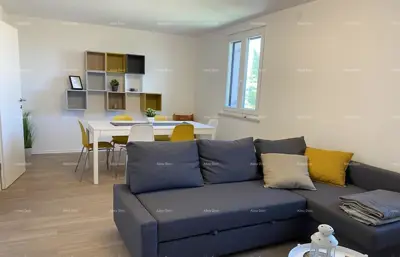 Kuća 190 m², Crveni Vrh - 3 apartmana i vrt - 3