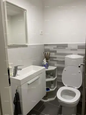 Kuća 190 m², Crveni Vrh - 3 apartmana i vrt - 18