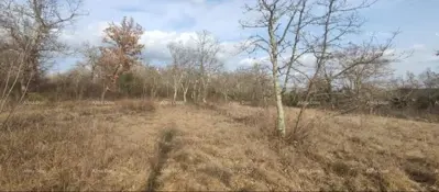 Baugrundstück 1 000 m², Grožnjan - ruhige Lage - 2