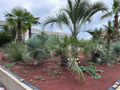 Gewerberaum in Poreč, Erdgeschoss des nördlichen Teils - 13