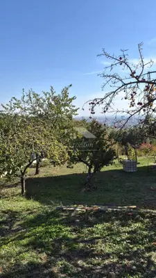 Perjavica - building plot 1,477 m² with house - 13