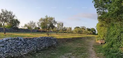 Građevinsko zemljište, Filipana - mirna lokacija za kuću za odmor - 2