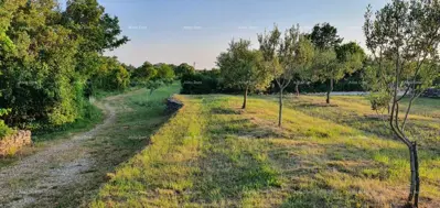 Građevinsko zemljište, Filipana - mirna lokacija za kuću za odmor