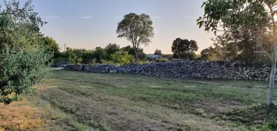Građevinsko zemljište, Filipana - mirna lokacija za kuću za odmor - 6