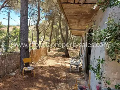 House 41 m², Otok Vis - quiet settlement by a pine forest - 3