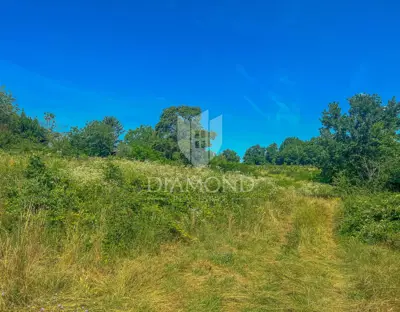 Land 4,680 m², Motovun surroundings - quiet location - 2