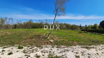 Građevinsko zemljište, Šegotići - projekt prizemnice i mirna lokacija - 16