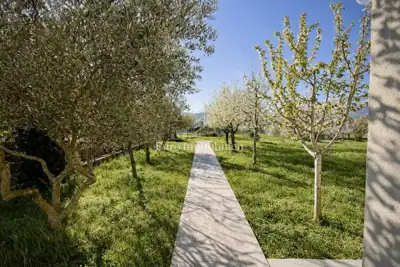 Kuća 209 m², Dugopolje - renovirana i podijeljena na 2 stana - 20