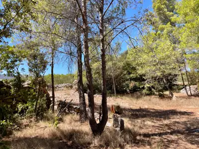 Lavendel. Feigen. Schatten. Dein eigenes kleines mediterranes Stück Hvar. - 4