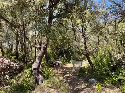 Lavendel. Feigen. Schatten. Dein eigenes kleines mediterranes Stück Hvar. - 5