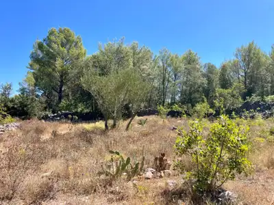Lavendel. Feigen. Schatten. Dein eigenes kleines mediterranes Stück Hvar. - 8