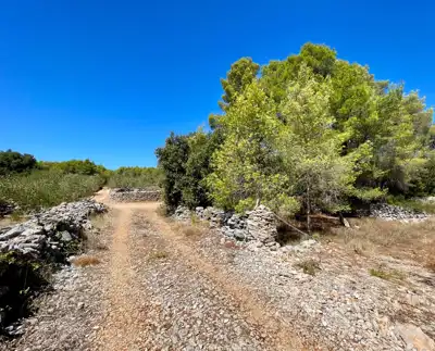 Lavendel. Feigen. Schatten. Dein eigenes kleines mediterranes Stück Hvar. - 2