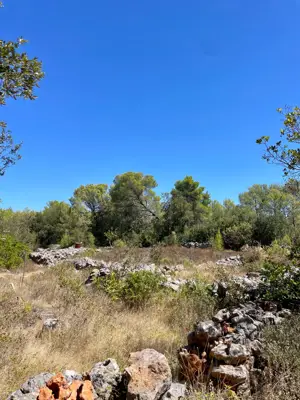 Lavendel. Feigen. Schatten. Dein eigenes kleines mediterranes Stück Hvar. - 6