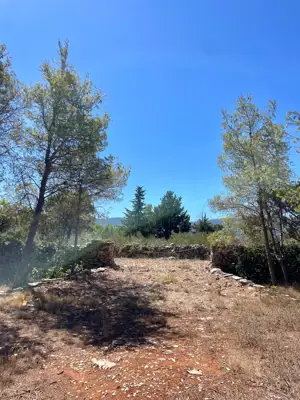 Lavendel. Feigen. Schatten. Dein eigenes kleines mediterranes Stück Hvar. - 3